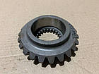 Шестерня конічна ведена (z=23) Т-40 (Д-144) (Т50-1701029-Г), фото 2