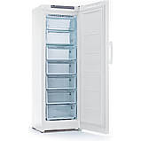 Морозильна камера Indesit DFZ5175 об'ємом 250 літрів із функцією No Frost, фото 2