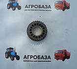 Шестерня приводу паливного насоса МТЗ, фото 3