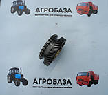 Шестерня приводу паливного насоса МТЗ, фото 5