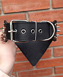Шкіряний нашийник-бандана з шипами "Lockdog" чорний, фото 3