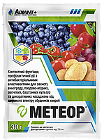 Фунгіцид для томатів, винограду, декоравных насаджень від фітофторозу, альтернаріозу Метеор 30г на 1 сотку