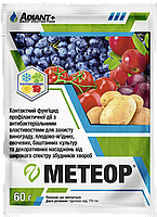 Фунгицид для томатов, винограда, декоравных насаждений Метеор 60г на 2 сотки