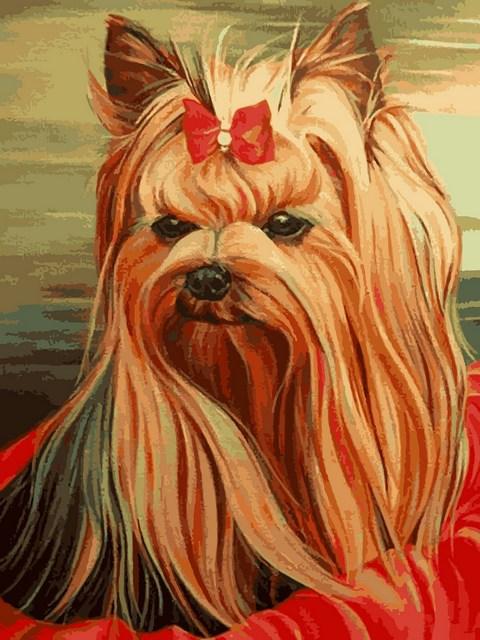 Картини за номерами 30х40 см Babylon Милий друг (VK 271), фото 1