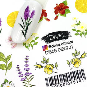 Наклейки на нігті Divia "Слайдер дизайн" на білій підложці Di865 №SB073