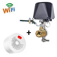WiFi Комплект захисту від витоку газу USmart | електропривод SM-01w + датчик газу NGD-01w, Tuya, DN20, 3/4"