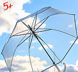 Жіноча прозора ЯКІСТЬ для фотосесії/пелини/жіноча парасолька, фото 6