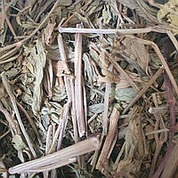 100 г любисток лекарственный трава сушеная (Свежий урожай) лат. Levisticum