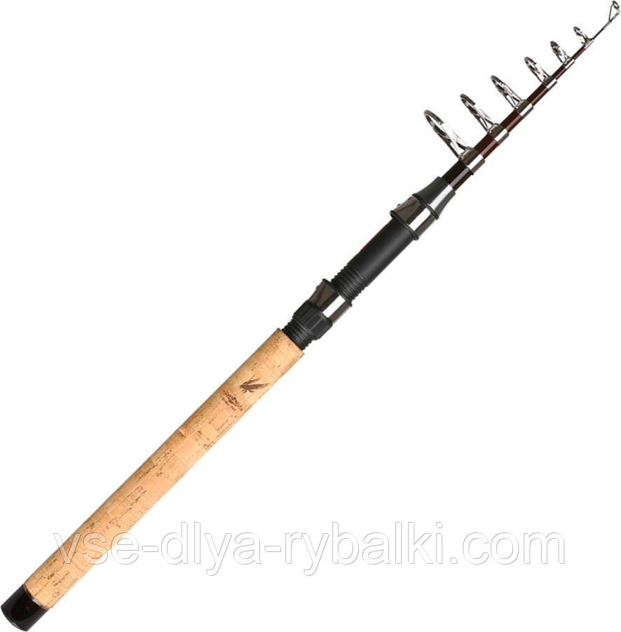 Телескопічний спінінг Princess Boya By 3.0 м 100-200g, фото 1