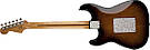 Електрогітара FENDER DAVE MURRAY STRATOCASTER, фото 5