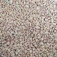 100 г пажитник сенной семена/плоды сушеные (Свежий урожай) лат. Trigonélla foenum-graecum