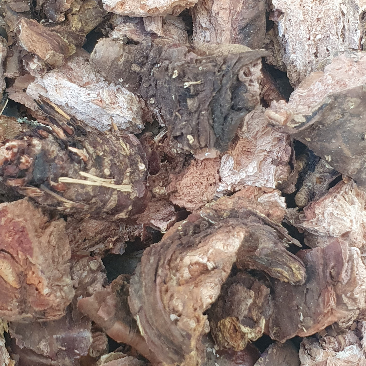 Купить 100 г золотой корень/родиола розовая корень сушеный (Свежий ...