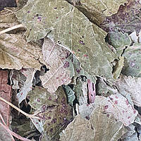100 г смородина черная лист сушеный (Свежий урожай) лат. Ríbes nígrum