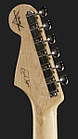 Електрогітара FENDER ERIC CLAPTON CUSTOM SHOP MDB, фото 8