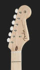 Електрогітара FENDER ERIC CLAPTON CUSTOM SHOP BLK, фото 7
