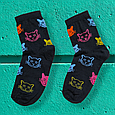 Шкарпетки різнокольорові котики, фото 2
