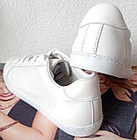 Sneakers White! Сникеры кеди жіночі білі на шнурках з перфорацією шкіра натуральна 37,41, фото 9