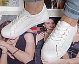 Sneakers White! Сникеры кеди жіночі білі на шнурках з перфорацією шкіра натуральна 37,41, фото 5