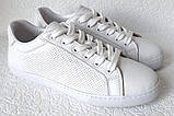 Sneakers White! Сникеры кеди жіночі білі на шнурках з перфорацією шкіра натуральна 37,41, фото 4