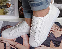 Sneakers White! Сникеры кеды женские белые на шнурках с перфорацией кожа
