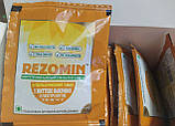 Rezomin Резомін додасть сил і енергії 5 життєво важливих електролітів з апельсиновим смаком.  Один пакетик, фото 5
