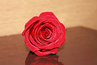 Стабилизированные розы красные 4-5см