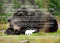 Gf открытка "Центр реабилитации бурых медведей. Карпаты"