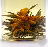 Чай білий елітний Метис в'язаний китайський чай 1000 г, фото 4