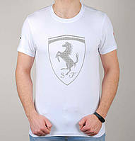 Стильна молодіжна спортивна футболка чоловіча Pm Ferrari (z1018-2-2) з принтом, 100% бавовна