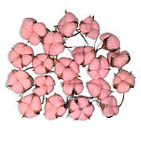 Бавовна рожева 5 см 20 шт, фото 4