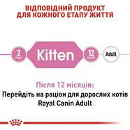 Сухий корм Royal Canin (Роял Канін) Kitten для кошенят від 4 місяців, 2 кг, фото 5