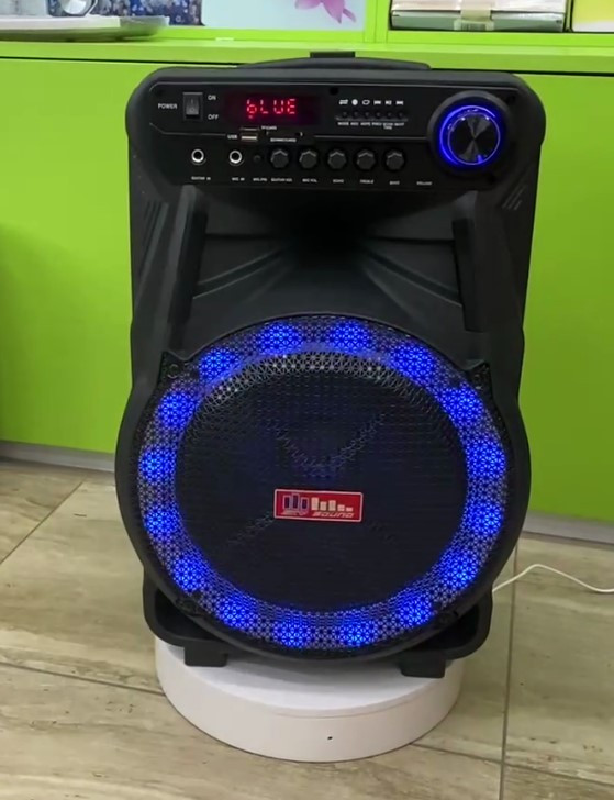 Колонка акумуляторна Sky Sound-7171 12 дюймів з радіомікрофоном 180 W (USB/FM/Bluetooth/TWS), фото 1