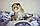 Дівчинка. Шотландська висолуха — золота шиншила, народжена 26.04.2021 у вихованцеві Royal Cats. Україна, Київ, фото 2