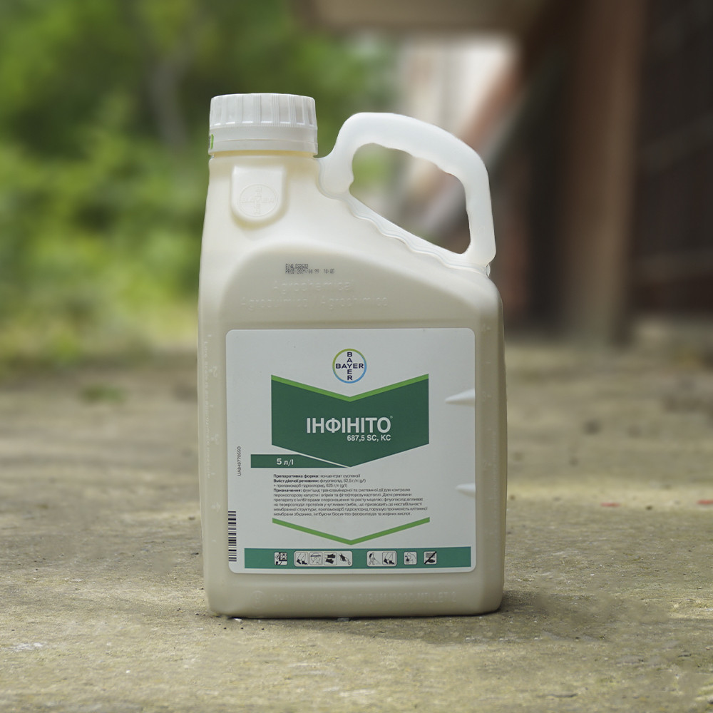 Фунгіцид Інфініто 61 SC, 687,5 Bayer 5л