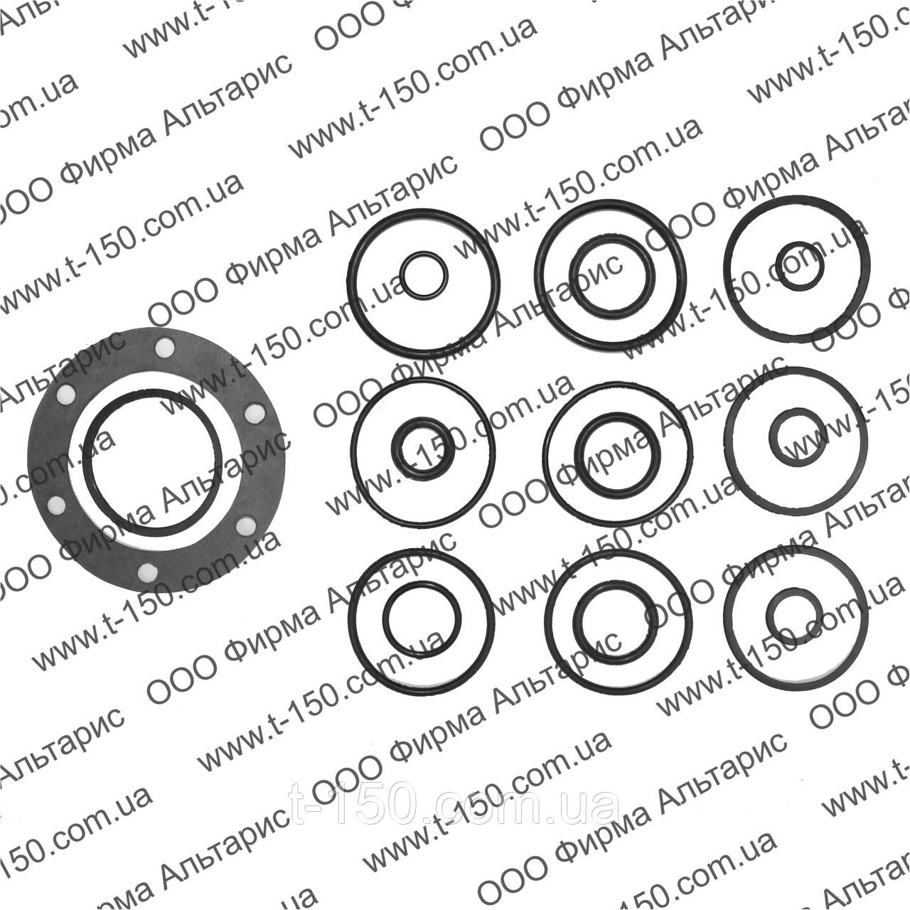 Ремкомплект гидроусилителя руля ГУР Т-40, полный с прокладкой и полиад.кольцами - фото 1 - id-p301341588
