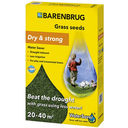 Газонна трава Barenbrug / Баренбург Water Saver dry & Strong вологозберігаюча (Нідерланди), фото 2