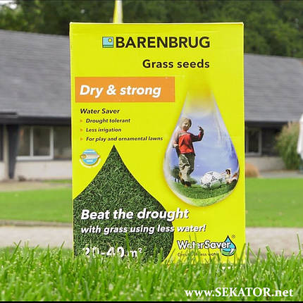 Газонна трава Barenbrug / Баренбург Water Saver dry & Strong вологозберігаюча (Нідерланди), фото 2