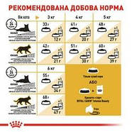 Сухий корм Royal Canin (Роял Канін) Siamese Adult для дорослих сіамських кішок, 10 кг, фото 2