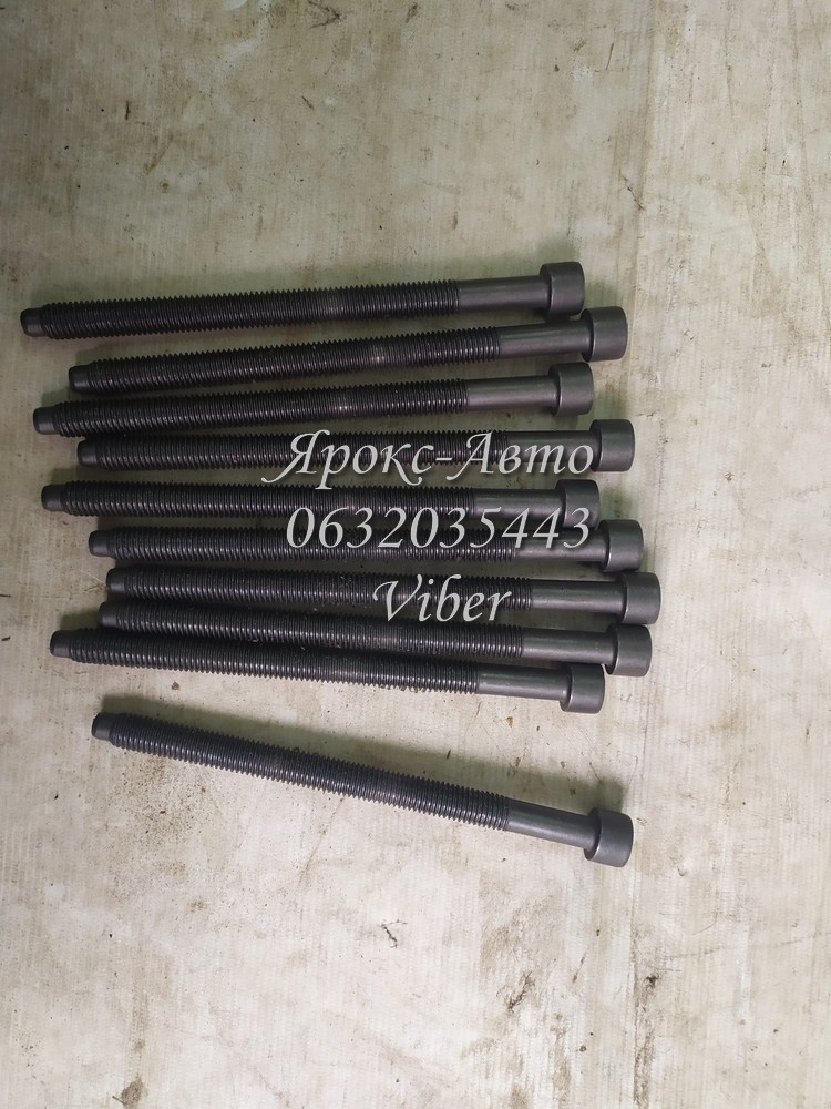 Болти ГБЦ VW GALAXY 1.9TD 96-000029319, фото 1