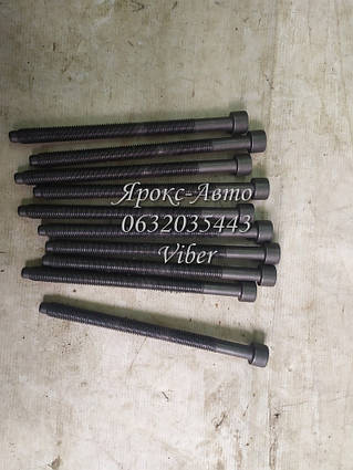 Болти ГБЦ VW GALAXY 1.9TD 96-000029319