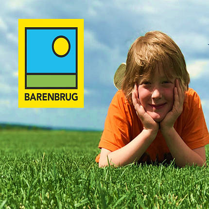 Газонна трава Barenbrug / Баренбург Play & Sport 5 кг (Нідерланди), фото 2