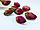 Матча рожева (Маття) 50 грам, фото 3