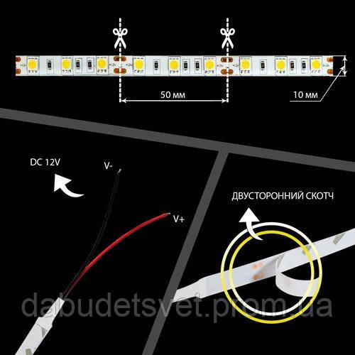 Светодиодная лента OEM ST-12-5050-60-CW-65-V2 белая, герметичная, 1м - фото 4 - id-p1421537268