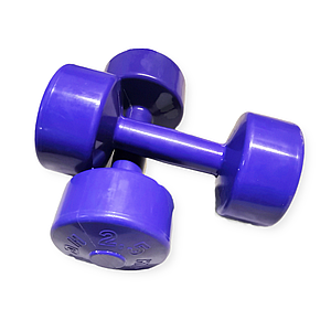 Гантель для фітнесу 2,5 кг (1 шт)