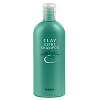 Шампунь для профілактики та лікування випадіння волосся та лупи MoltoBene Clay Esthe EX Shampoo, 330 мл
