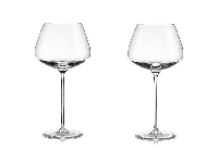 Набор из двух бокалов для вина Rogaska 108701 лаконичного дизайна