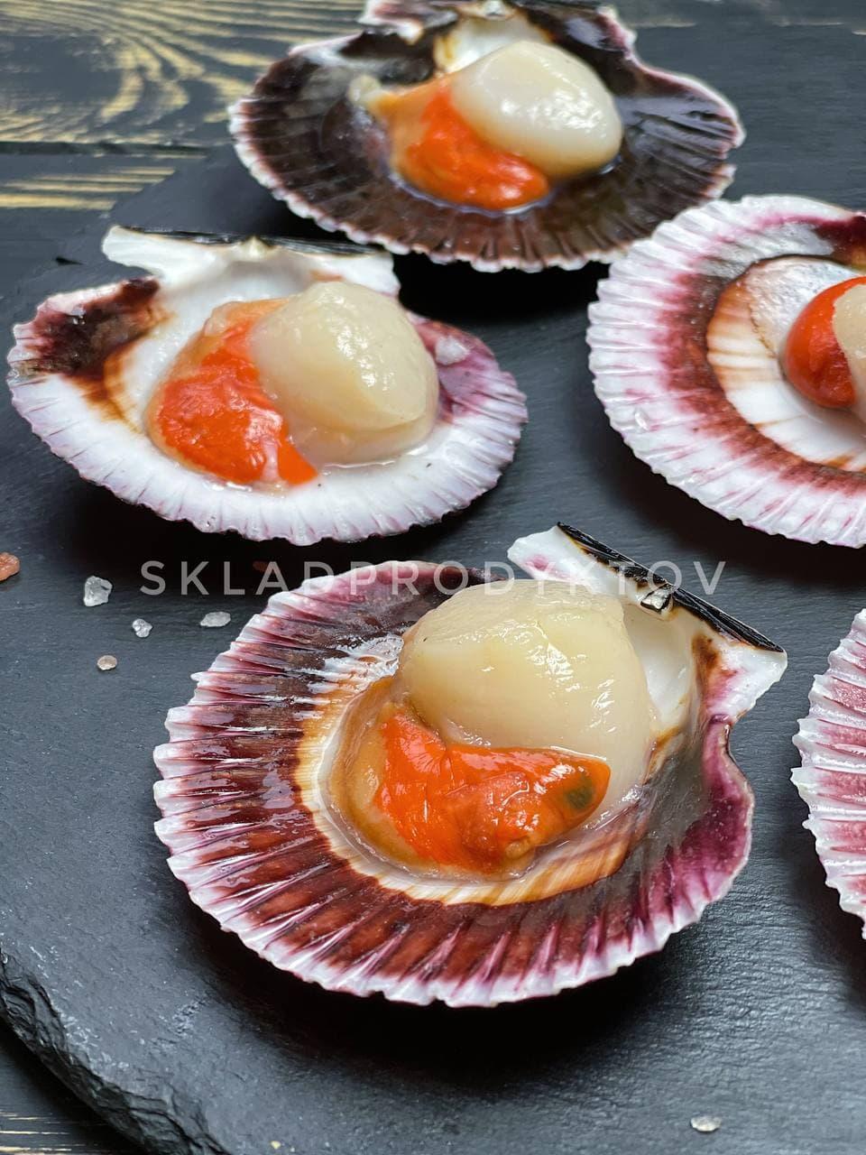 Морський гребінець з ікрою в полуракушке, 20-40шт/кг Instagram: skladprodyktov_ukraine