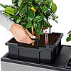 Кашпо Trio Stone 30 графітовий чорний Lechuza, фото 4
