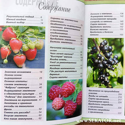 Практичний посібник "Врожайний ягідник", фото 4