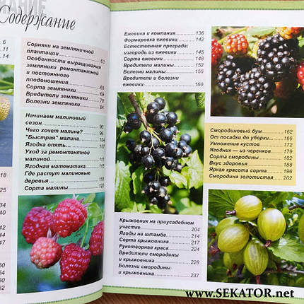 Практичний посібник "Врожайний ягідник", фото 3